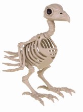 Crow Skeleton 8"