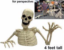 Skeleton Groundbreaker 4ft