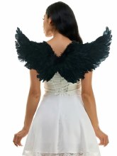 Wings Black Feather