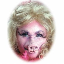 Prosthetic Pig Nose Two Piece Set