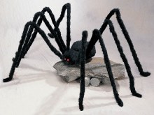 Hairy Black Spider ~ 7.5 ft