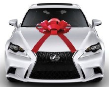 Giant Red Car Bow 25"