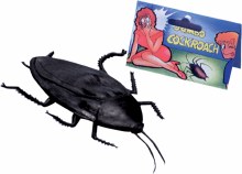 Jumbo Cockroach