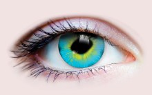 Primal Contacts Strange