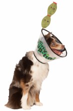 Dirty Pup-tini Pet Collar Costume M/L