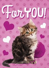 Gift Enclosure Kitten