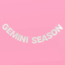 Gemini Season Banner 5ft