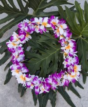 Lei Plumeria Purple