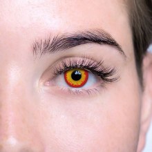 Loox Contacts Fire
