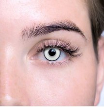 Loox Contacts Manson