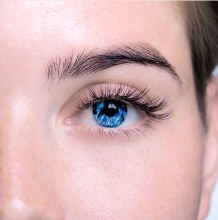Loox Contacts Scorcher