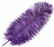 Ostrich Drabs Purple