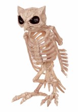 Owl Skeleton