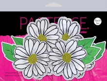 Pastease Demi X Wildflowers Pasties