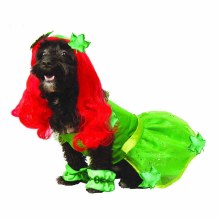 Poison Ivy Pet Costume Lg