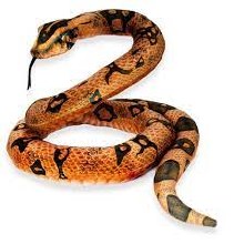 Plush Toy Python Brown 78.7in