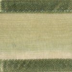 Ribbon Moss 3/8inch x 5yd