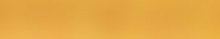 Ribbon Gold 1 1/2inch x 4yd