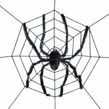 Giant Spiderweb w/ Giant Spider