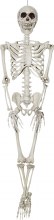 Skeleton 24in Posable