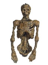 Skeleton 35" Torso Rotted