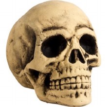 Foam Skull