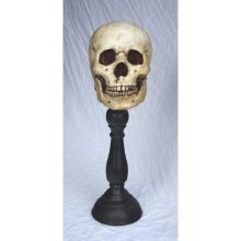 Skull On Pedestal 7.5"