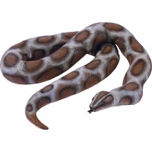 Colossal Snake Boa 6.5ft