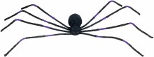 Spider 50" Blk/Purp Shaking