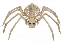 Skeleton Spider