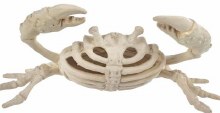 Skeleton Crab Mini
