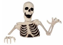 Skeleton Ground Breaker 35in
