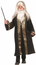 Wizard Wig w/ Beard - Child Size