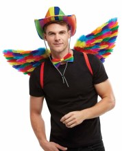 Wings Rainbow Feathers