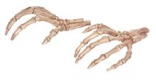 Skltn Hnd Bone Lft/Rght 8"