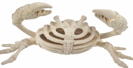 Skeleton Crab Mini