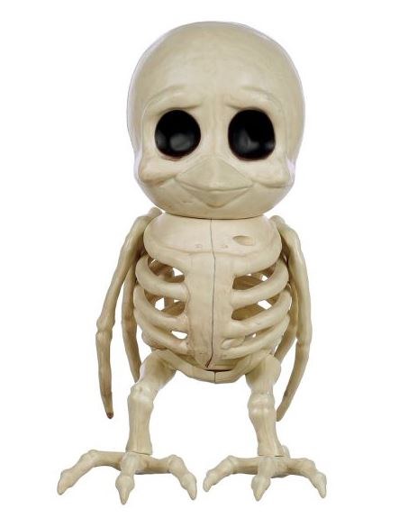 Skeleton Cute Bird