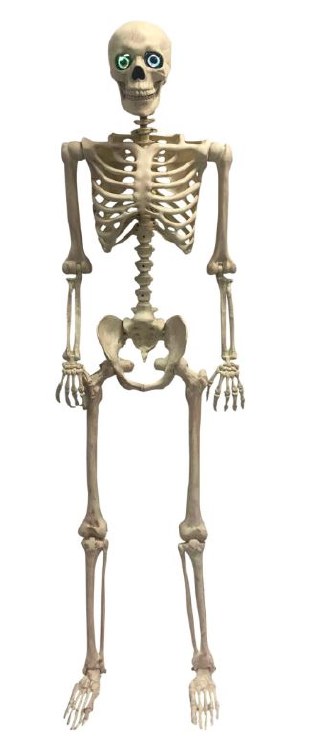 Skeleton 60in Light-up Eyes