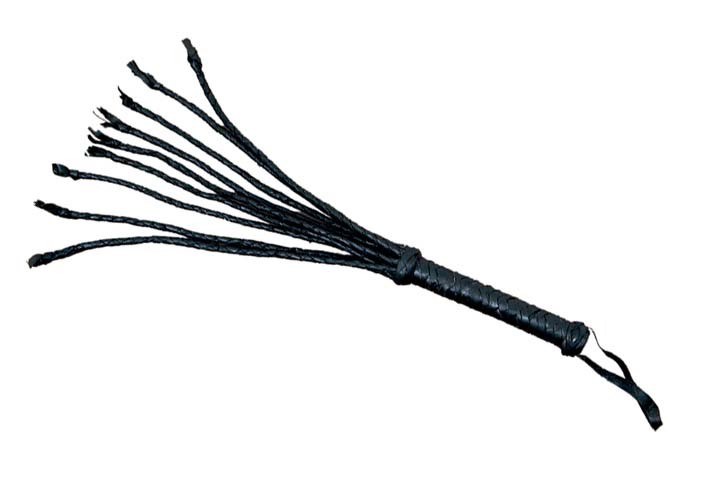 Whip CatONineTails Lg