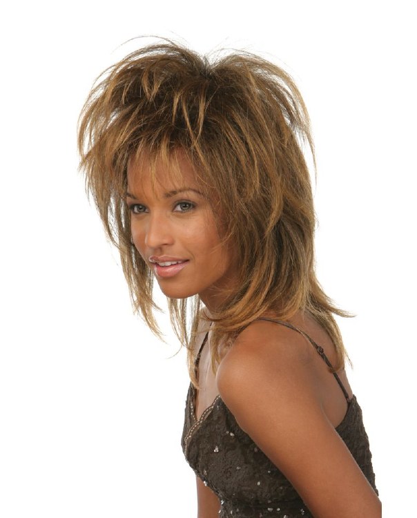 Wig Tina Turner Dark Brown