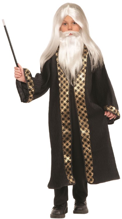 Wizard Wig w/ Beard - Child Size