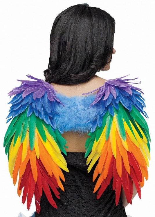 Rainbow Feather Wings