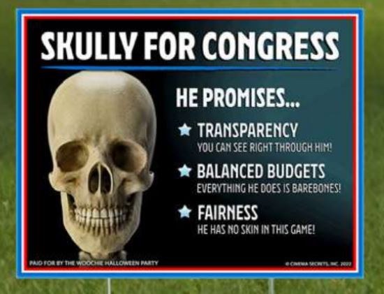 Yard Sign Skully For Congress
