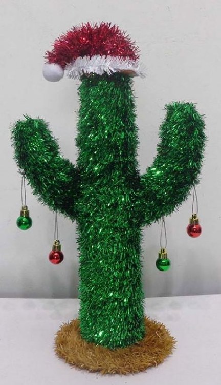 Christmas Cactus