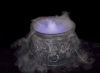 Cauldron w/ Mister