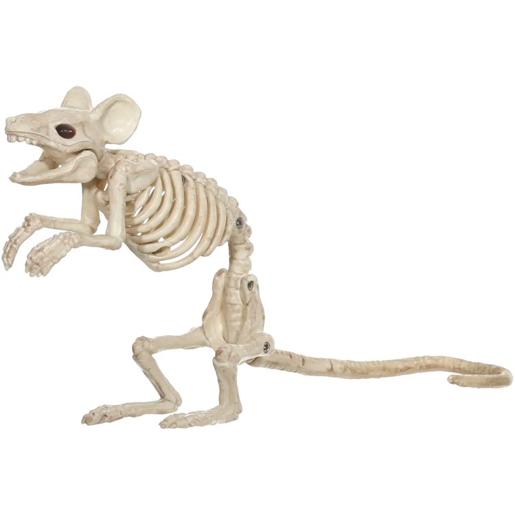Mouse Skeleton Standing Small
