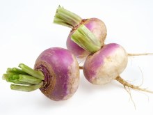 Turnip/kohlrabi