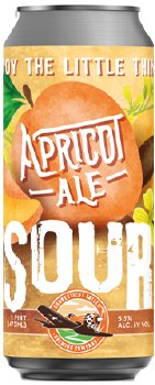 Connecticut Valley Apricot Sour Ale 4 Pack 16oz Cans
