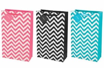 Striped 2 bottle Gift Bag