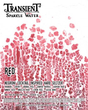 Transient Sparkle Red 4 Pack 16oz Cans